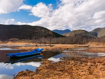 BigWins Casino Mobilna aplikacija